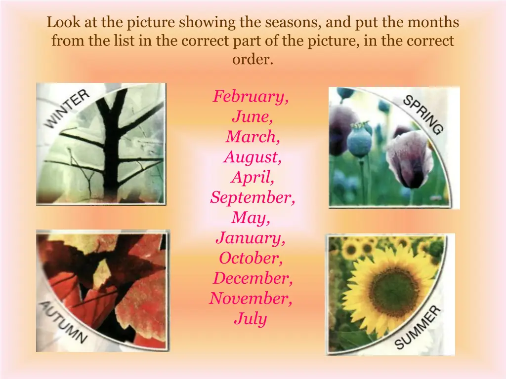look at the picture showing the seasons