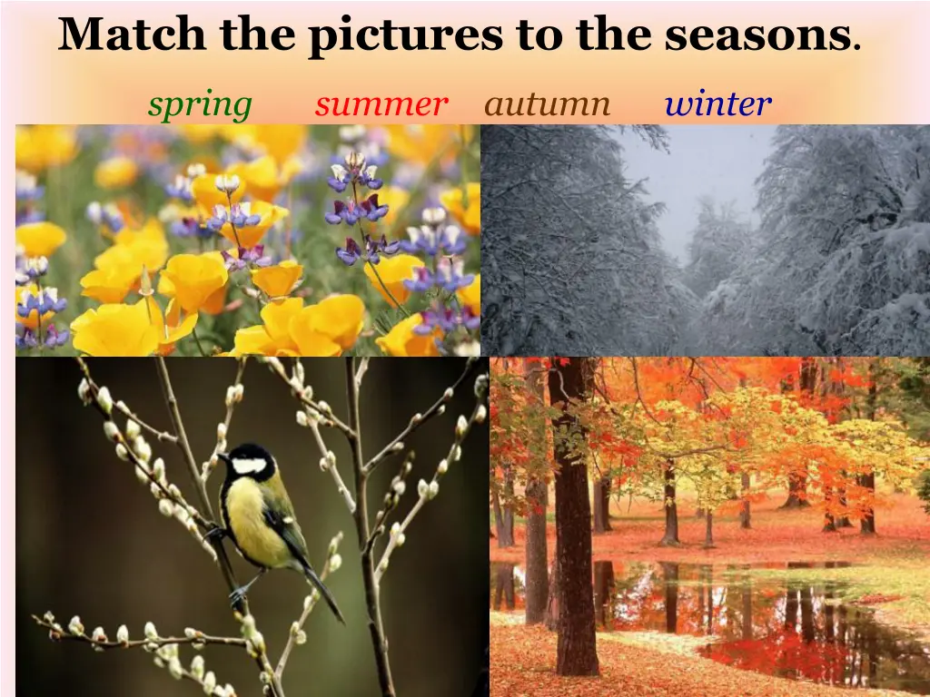 match the pictures to the seasons