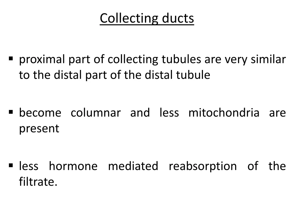 collecting ducts