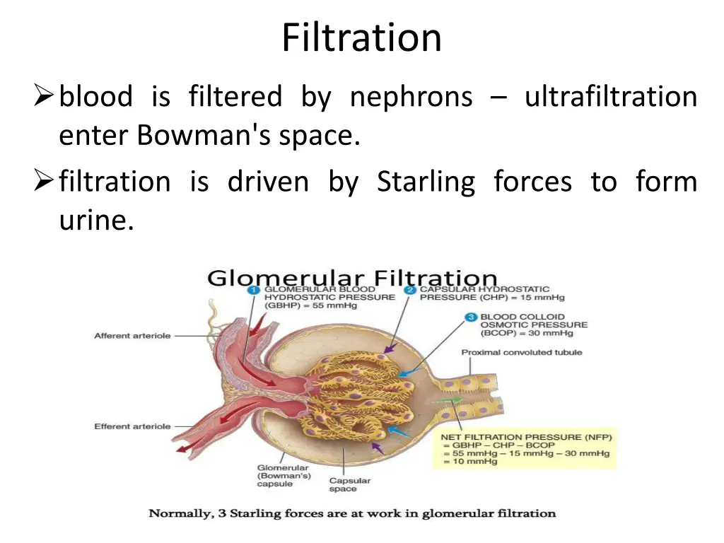 filtration