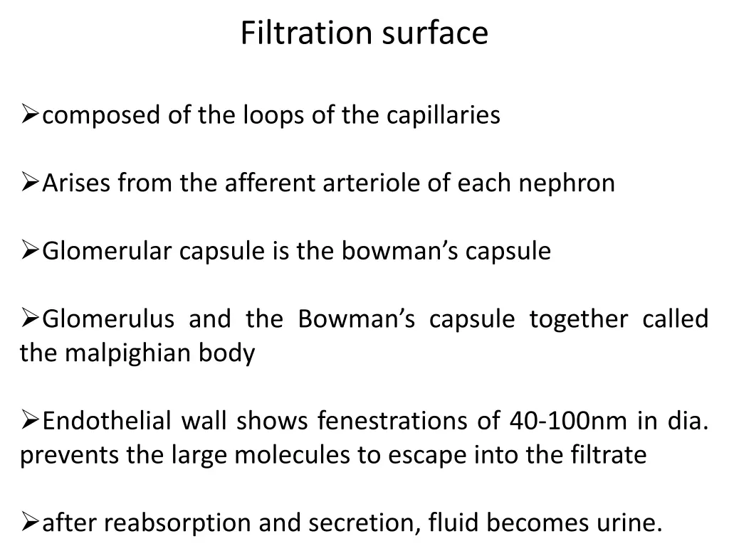 filtration surface