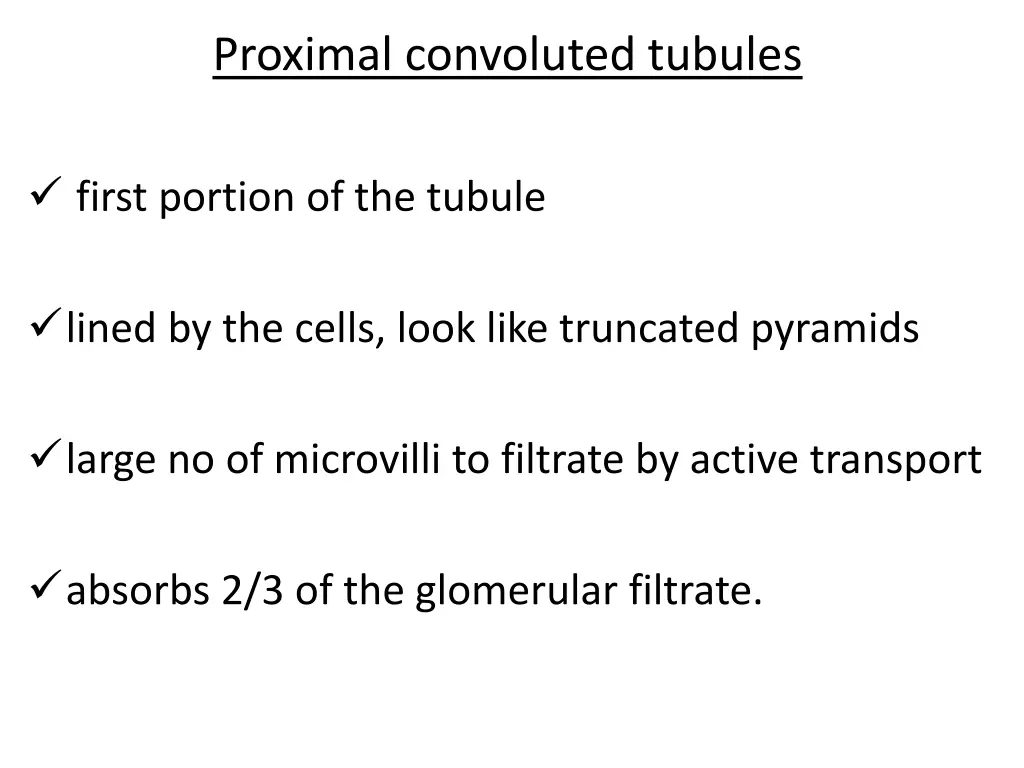 proximal convoluted tubules