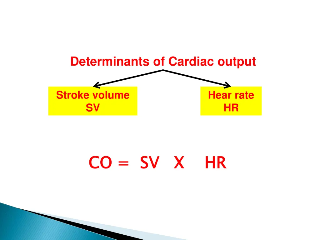 determinants of cardiac output