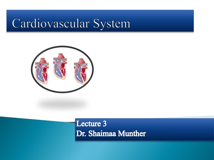 lecture 3 dr shaimaa munther