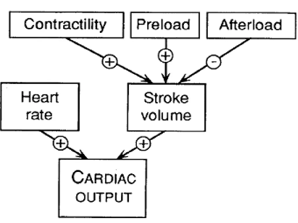 slide7