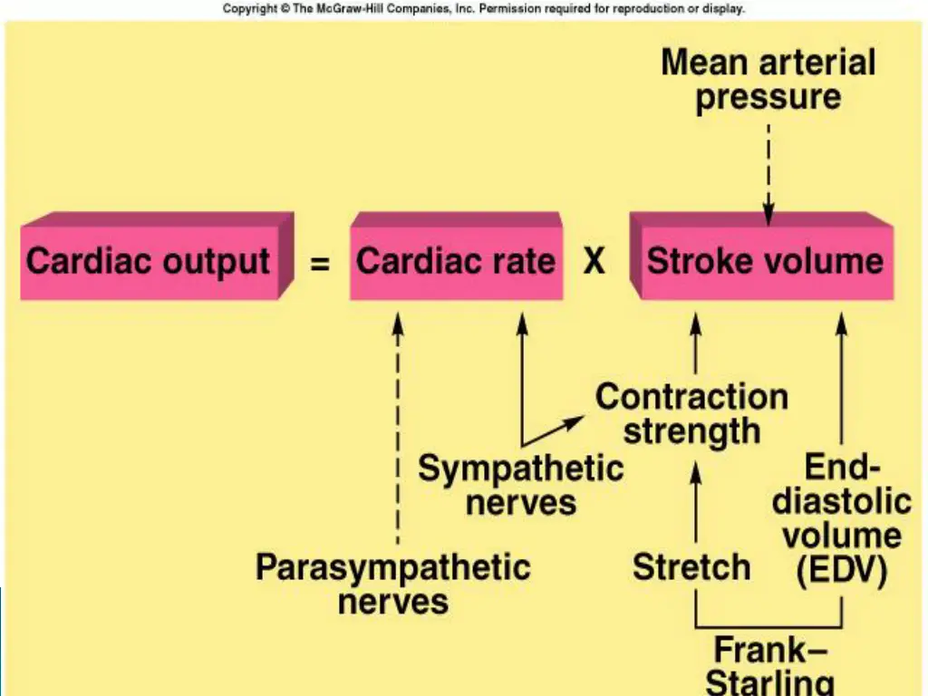 slide8