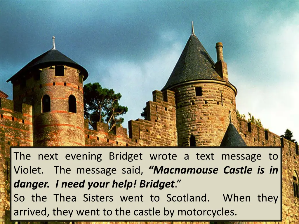 the next evening bridget wrote a text message