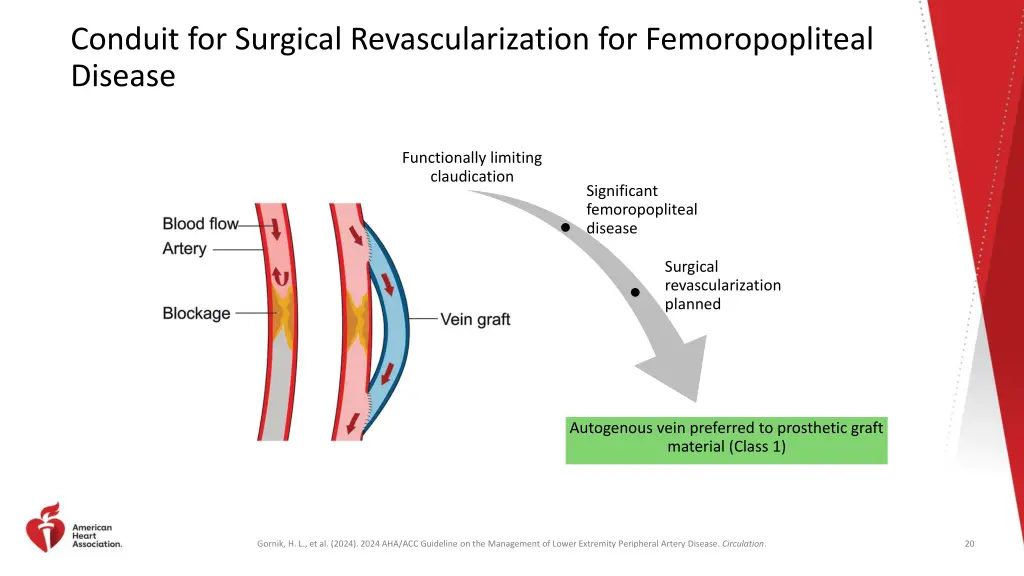 conduit for surgical revascularization