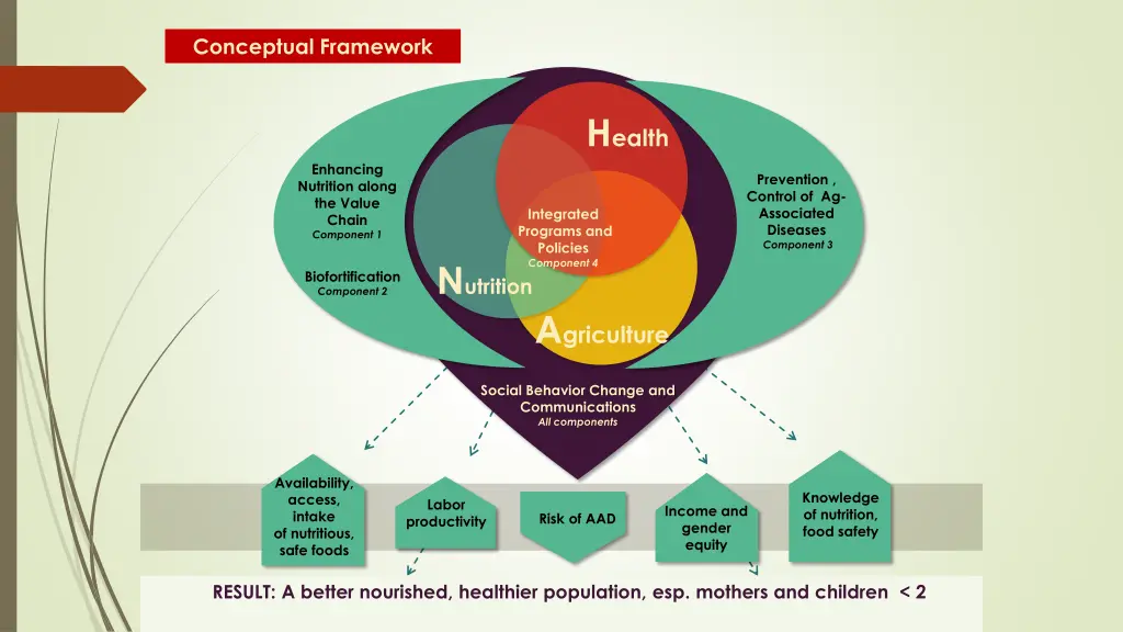 conceptual framework