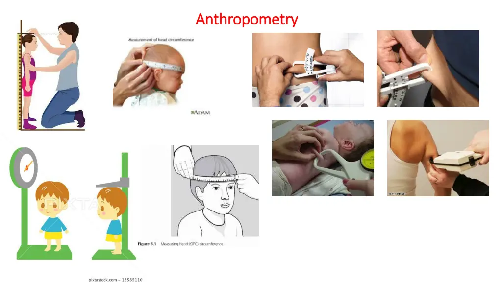 anthropometry anthropometry