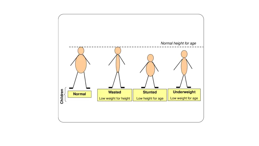 slide11