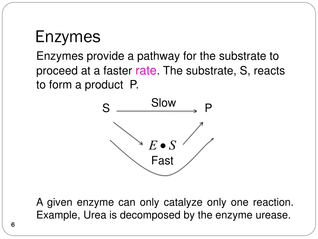enzymes enzymes provide a pathway