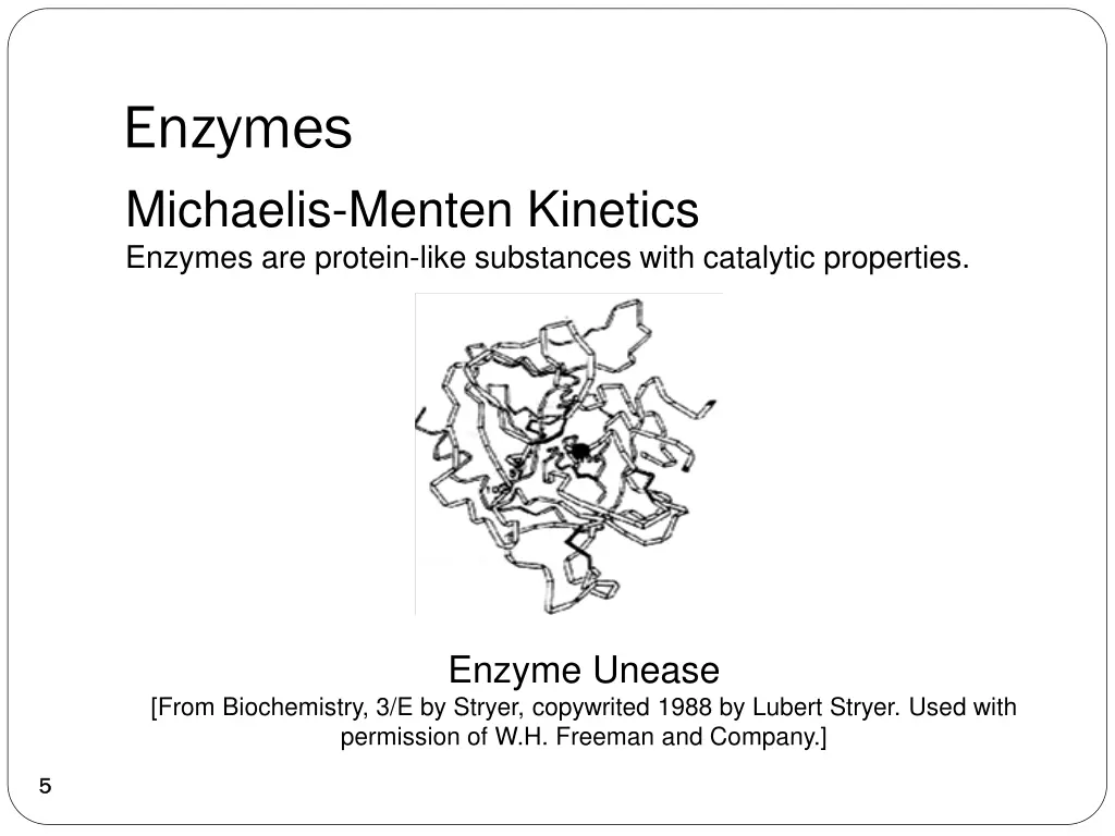 enzymes michaelis menten kinetics enzymes