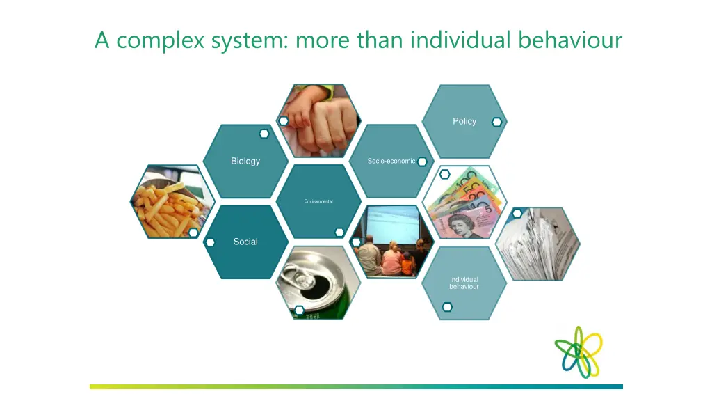 a complex system more than individual behaviour