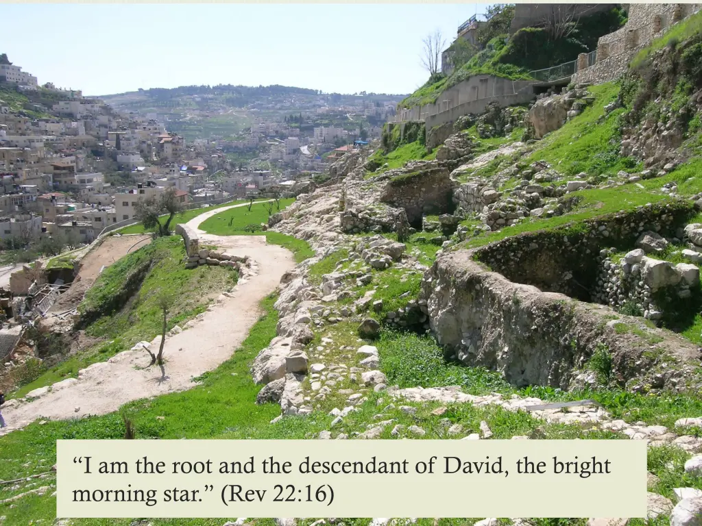 i am the root and the descendant of david