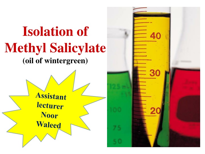 isolation of methyl salicylate oil of wintergreen