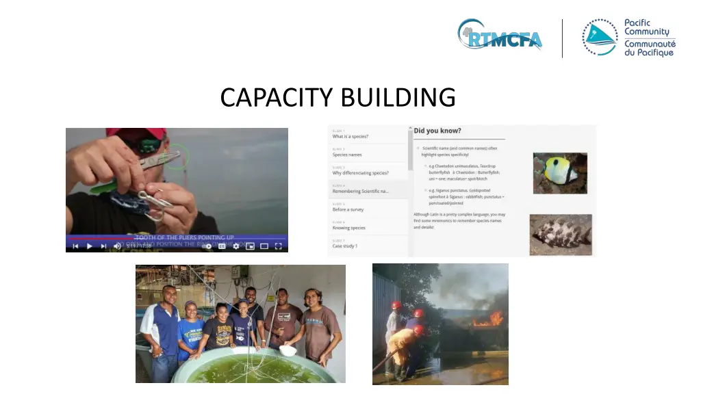 capacity building