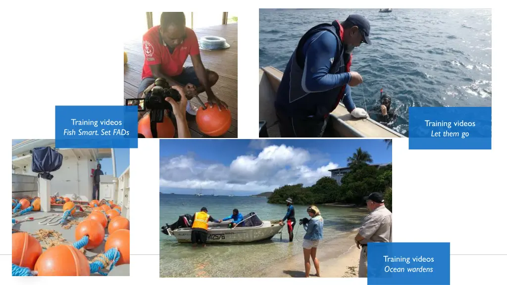 training videos fish smart set fads
