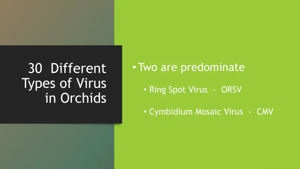 30 different types of virus in orchids