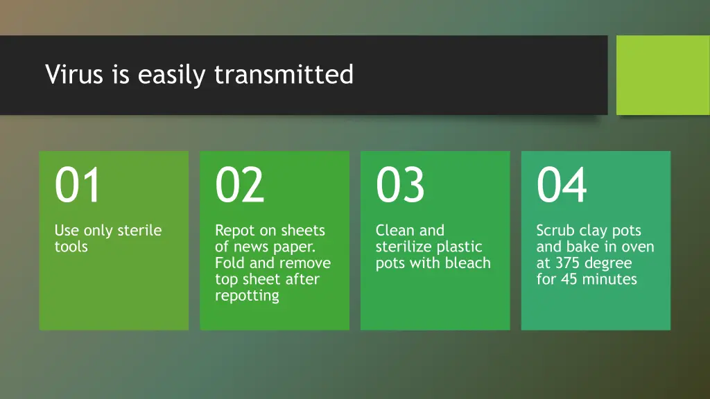 virus is easily transmitted