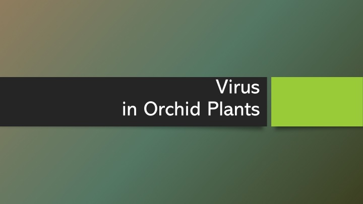 virus