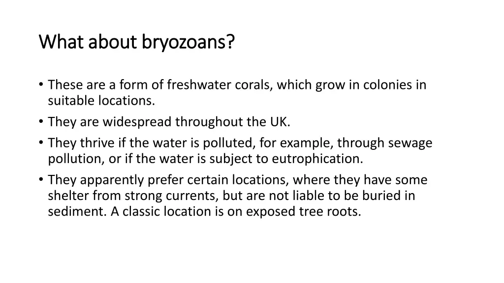 what about bryozoans what about bryozoans