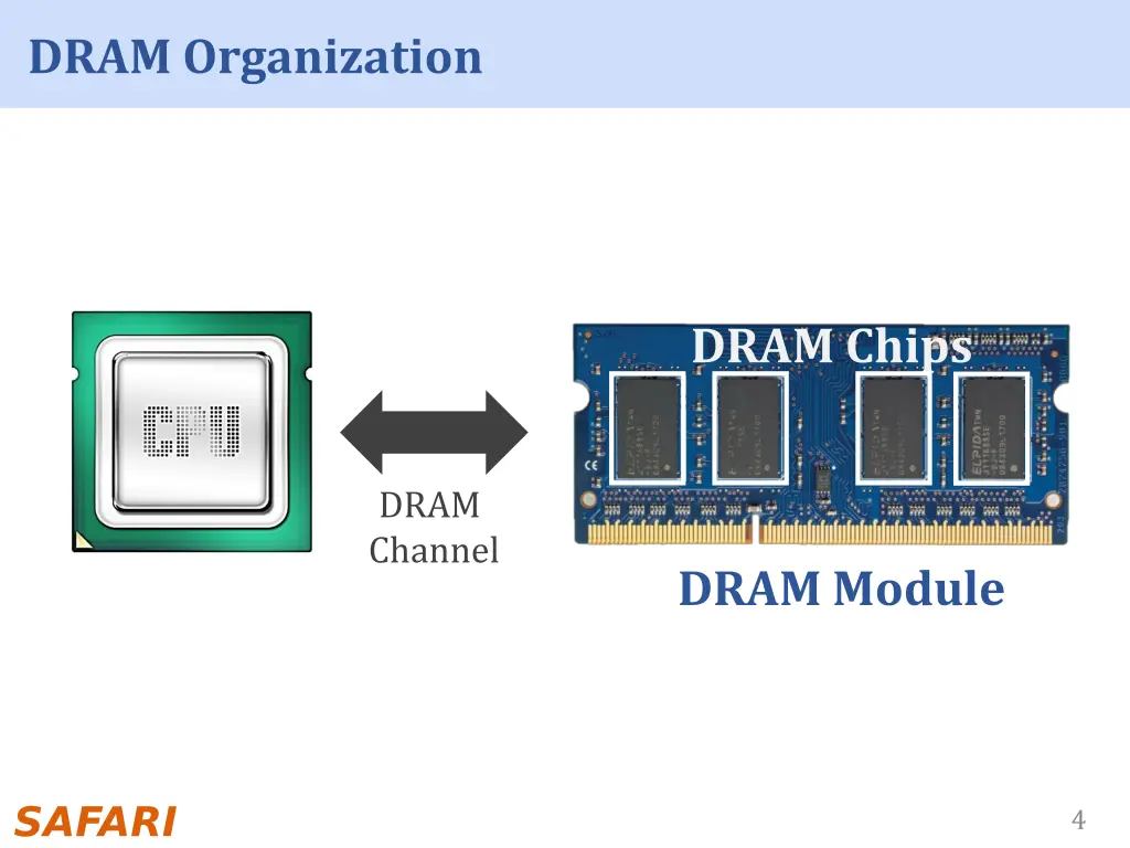 dram organization