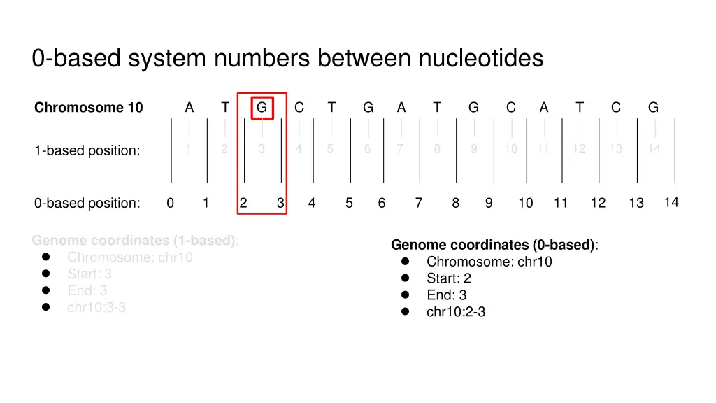 0 based system numbers between nucleotides