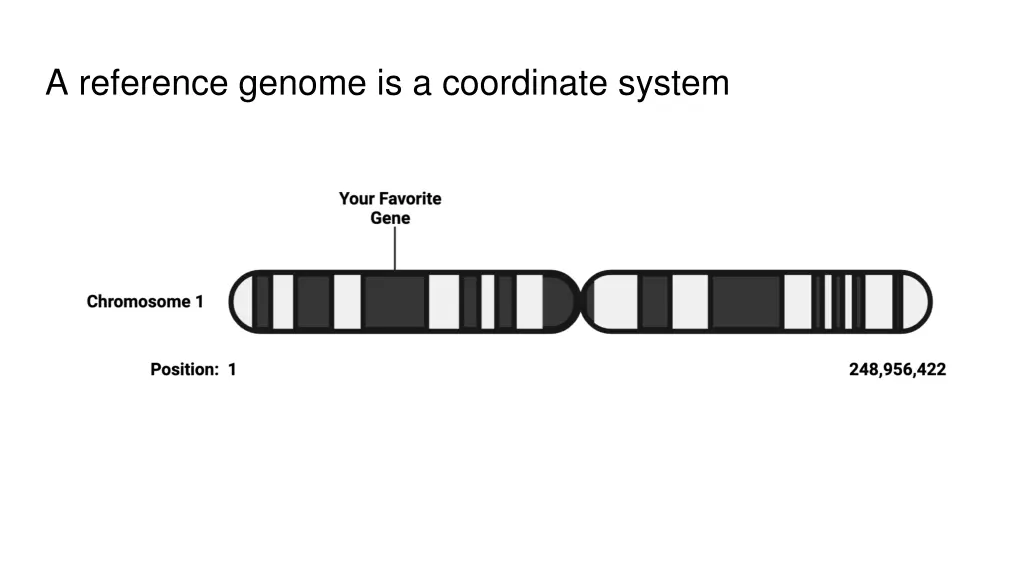 a reference genome is a coordinate system