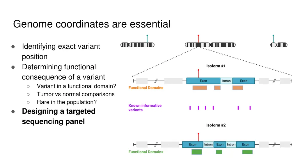 genome coordinates are essential