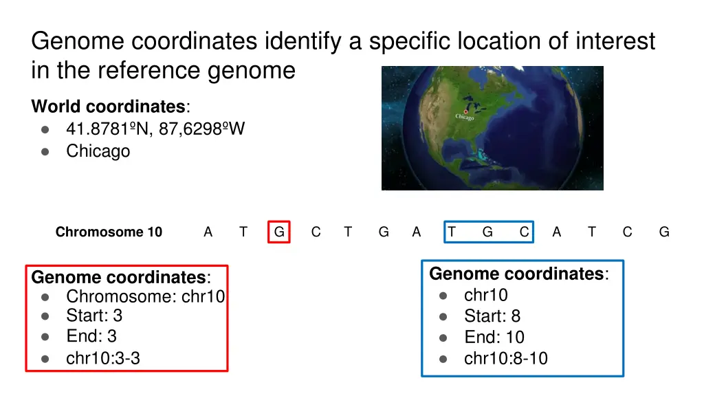 genome coordinates identify a specific location