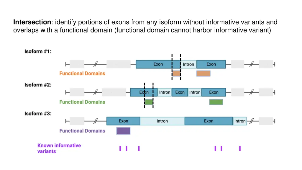 intersection identify portions of exons from