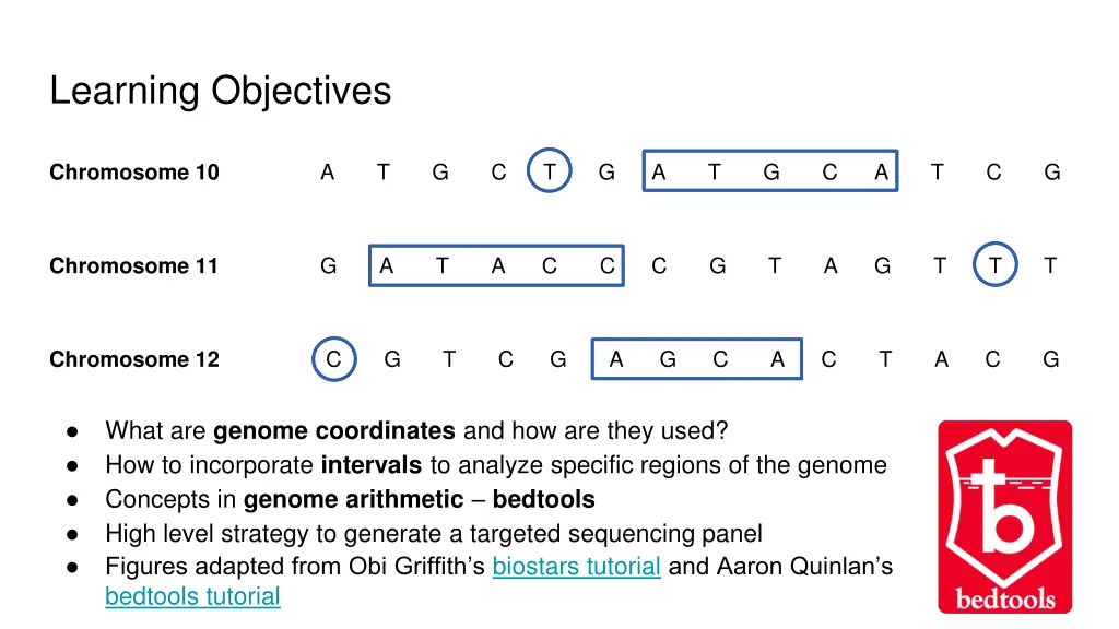 learning objectives