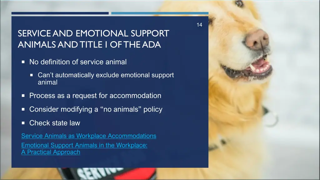 slide14