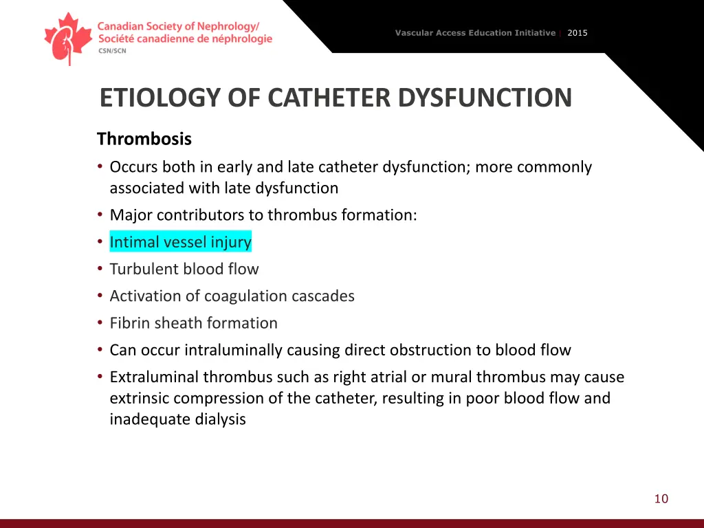 vascular access education initiative 2015 9