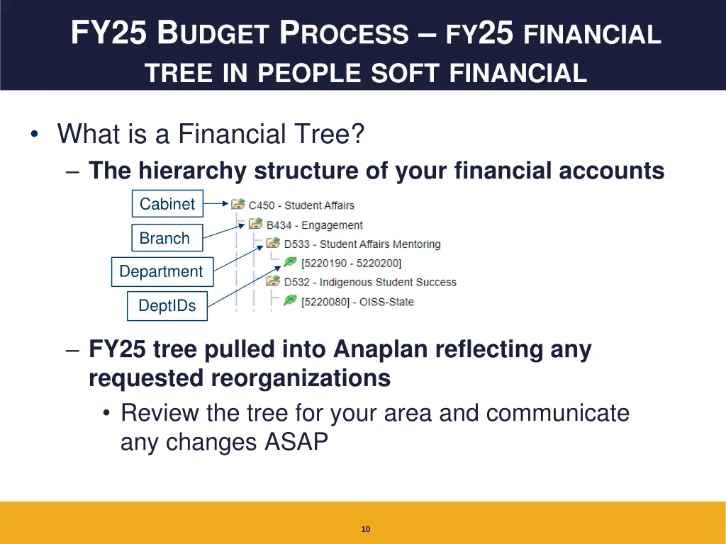 fy25 b udget p rocess fy 25 financial tree