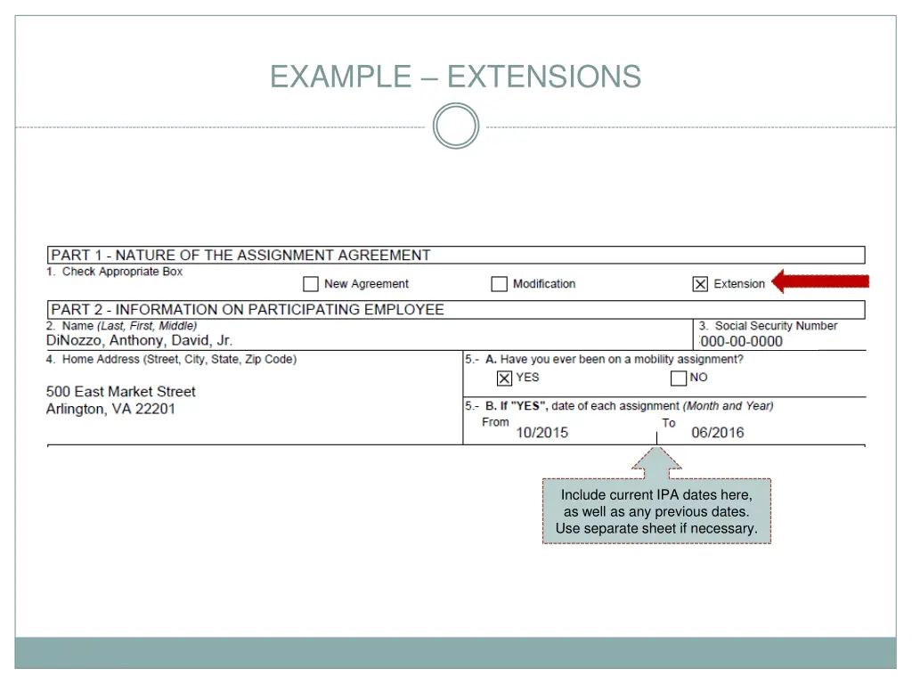 example extensions