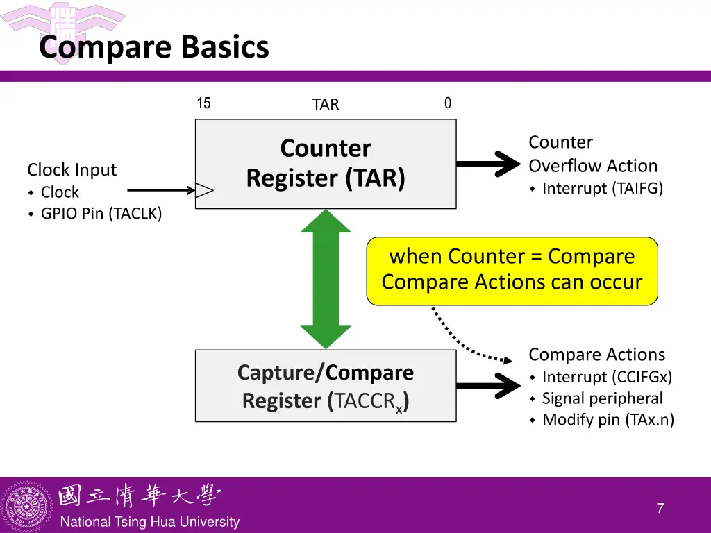 compare basics