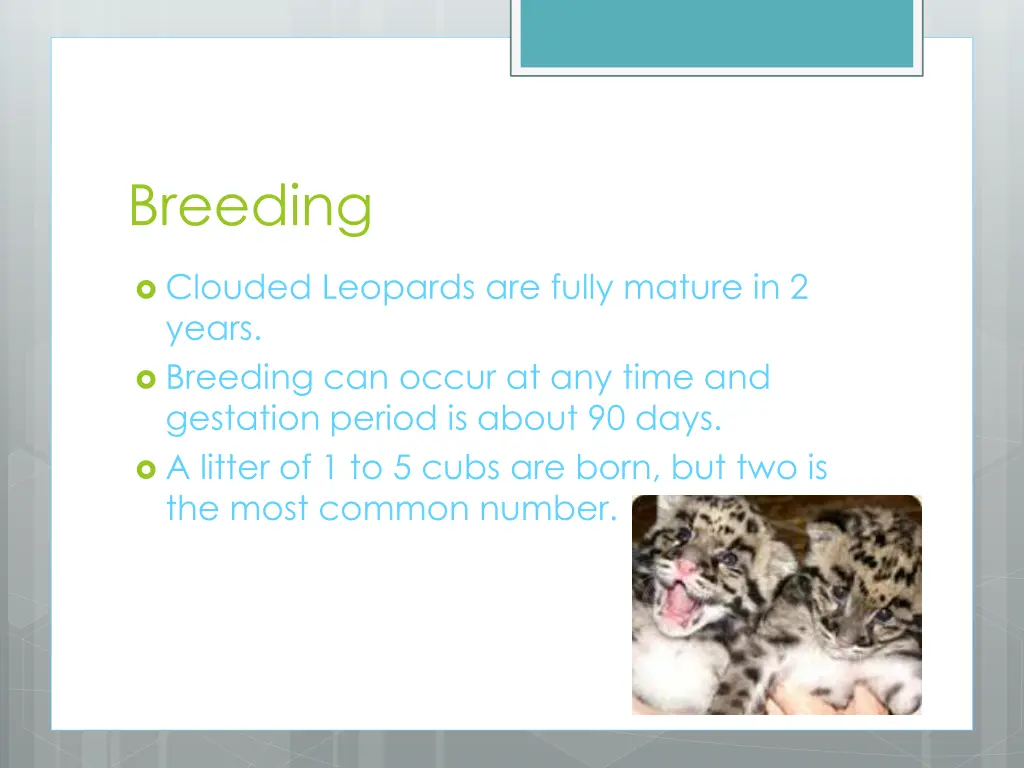 breeding