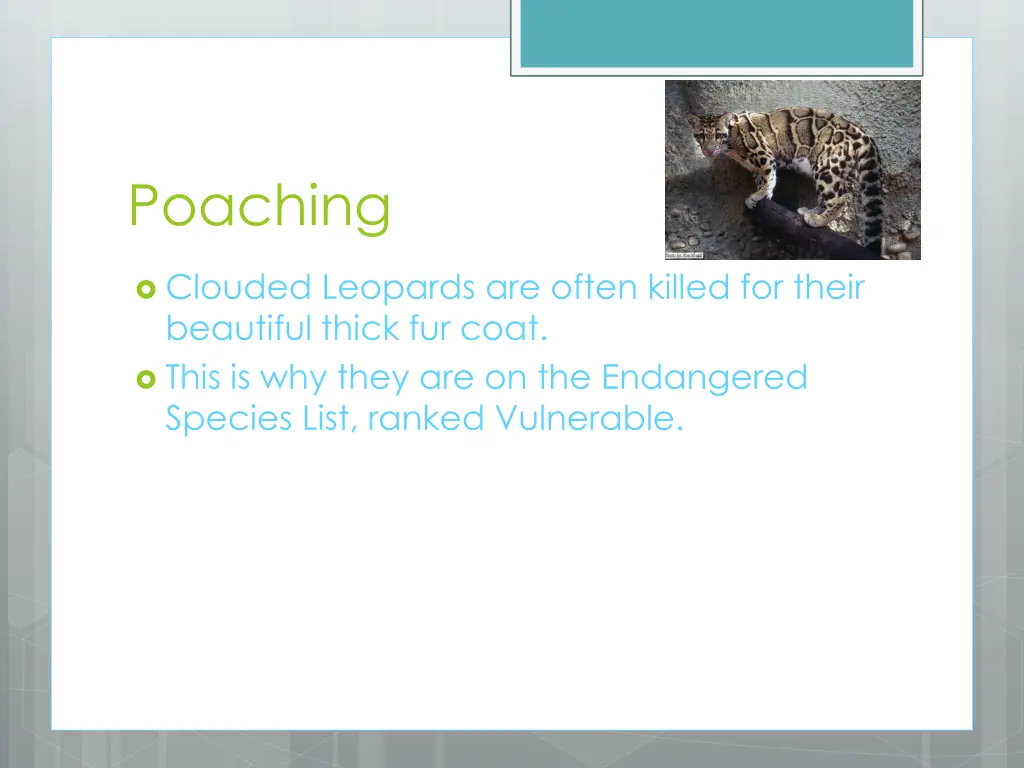 poaching