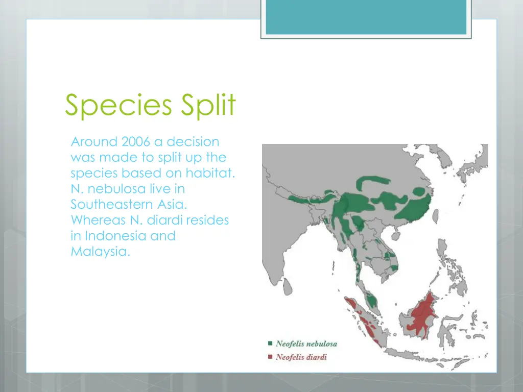 species split