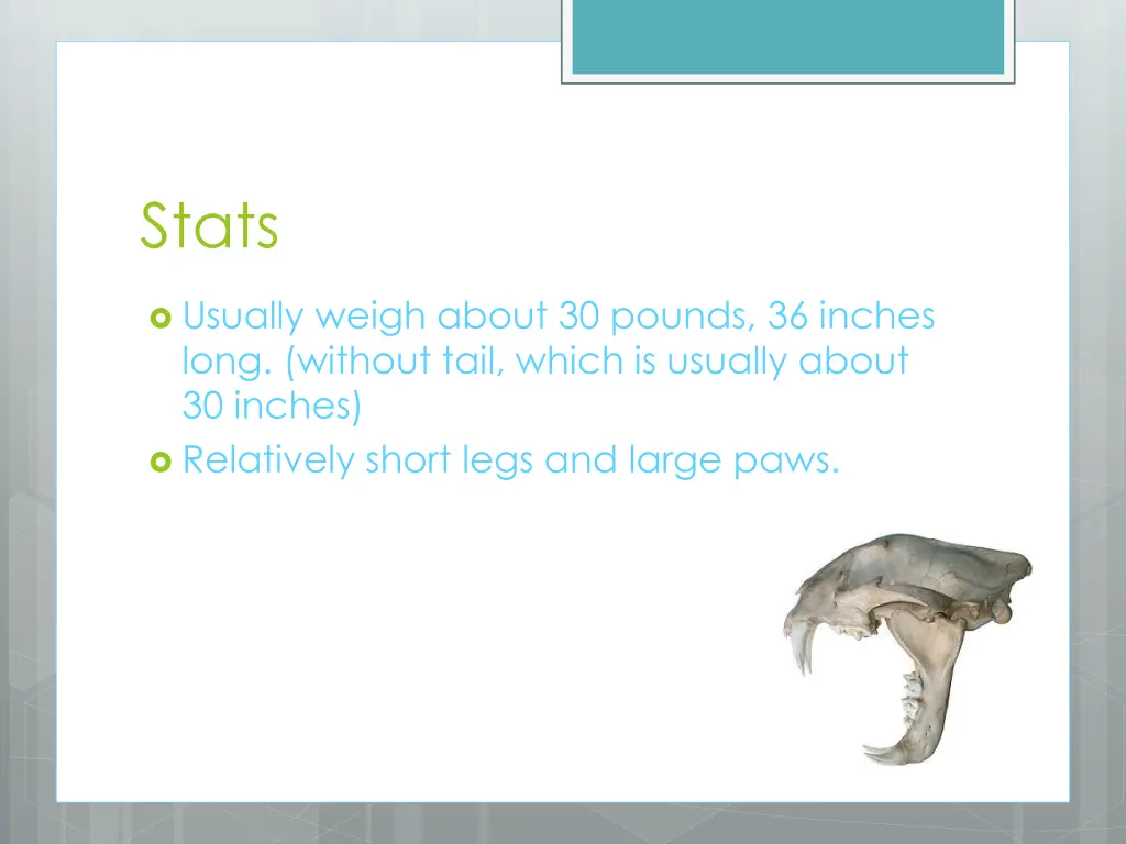 stats