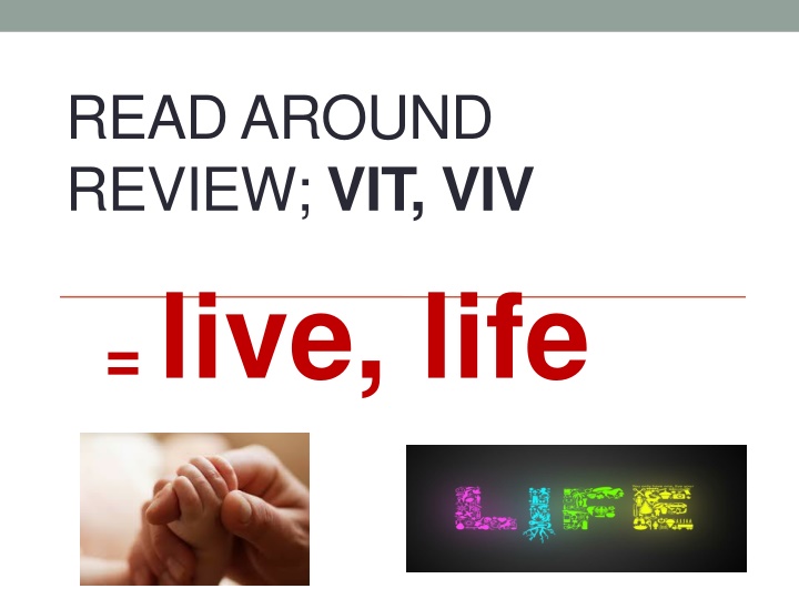 read around review vit viv