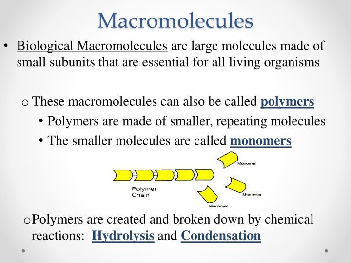 macromolecules