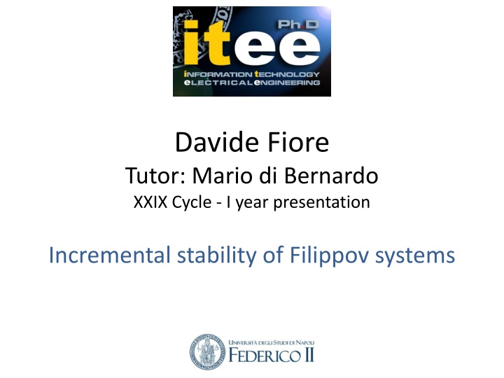 davide fiore tutor mario di bernardo xxix cycle