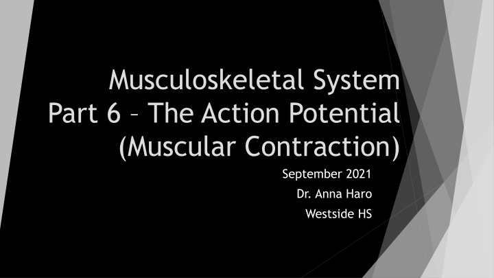 musculoskeletal system part 6 the action