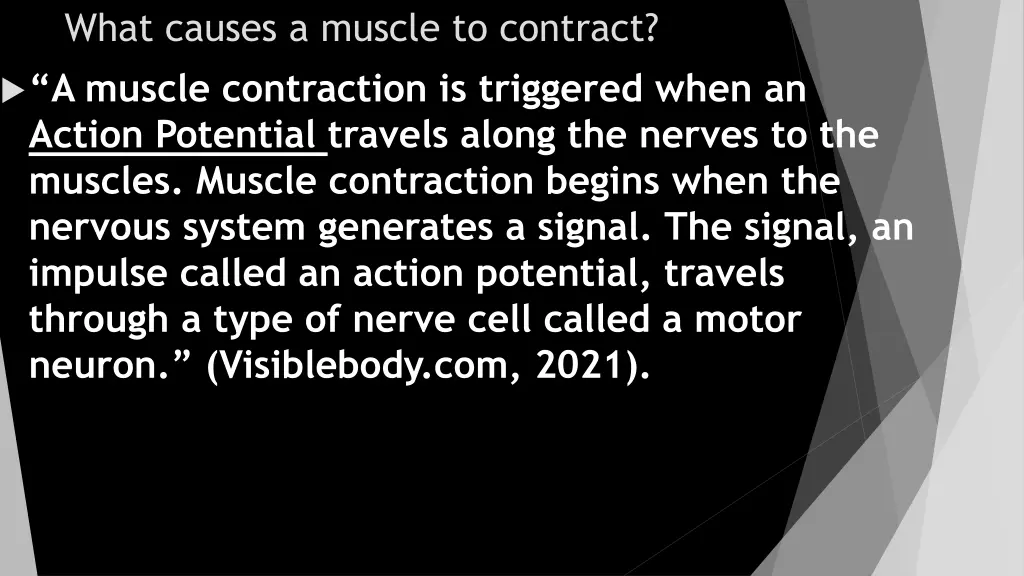what causes a muscle to contract