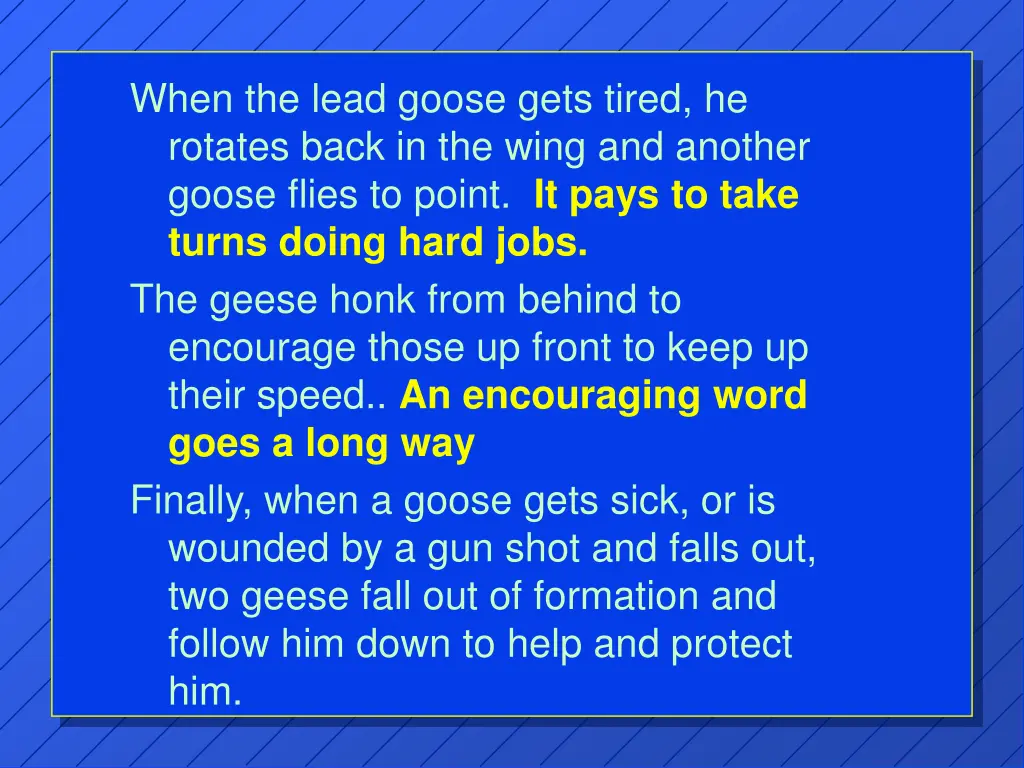 when the lead goose gets tired he rotates back