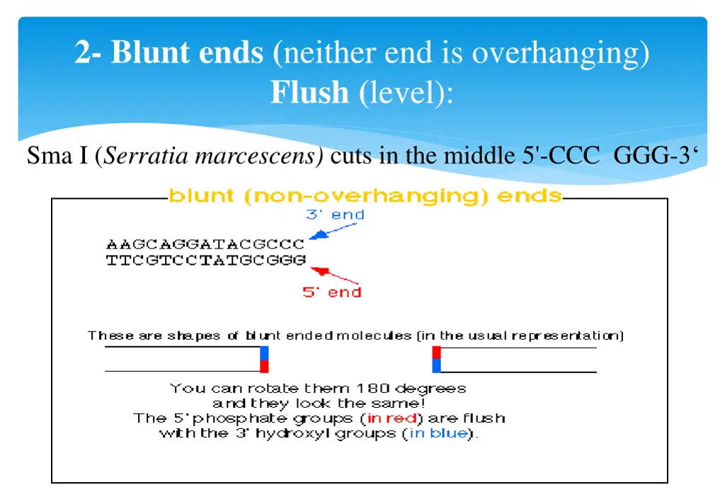 2 blunt ends neither end is overhanging flush