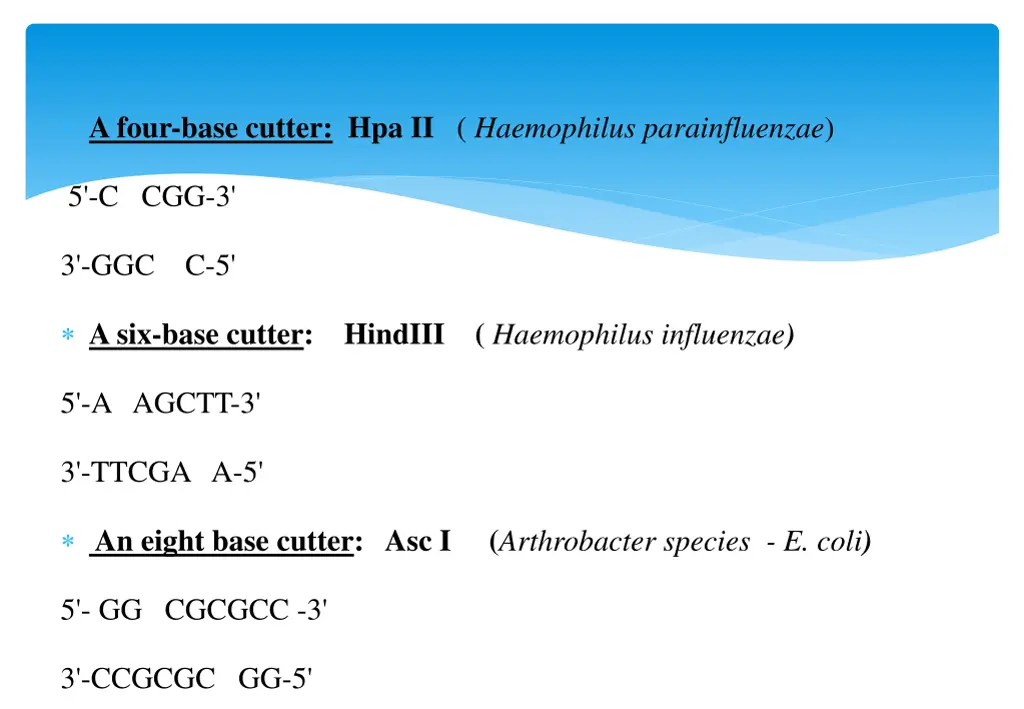 a four base cutter hpa ii haemophilus